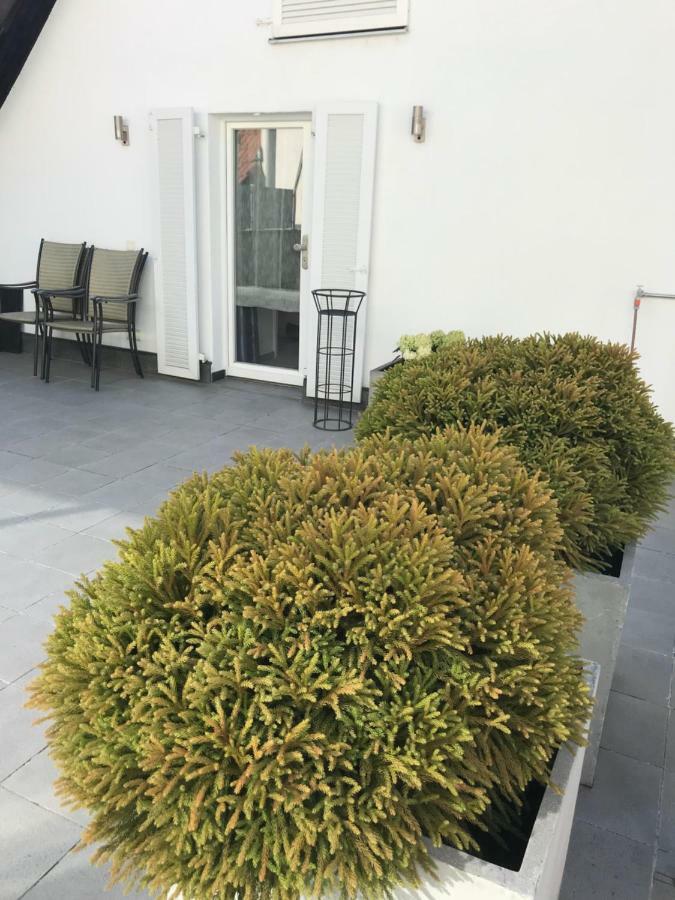 Casa Christina Lejlighed Orschweier Eksteriør billede